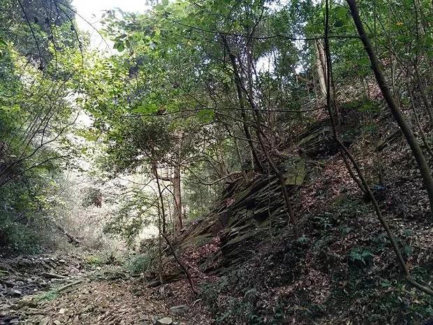 逃离违建房屋9