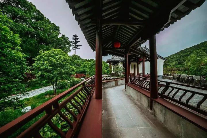 50岁闫学晶保养好如30岁,迷人孩子抢镜,他的近照曝光