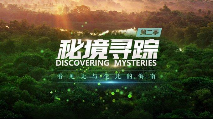 尽情观赏冬天的荷塘